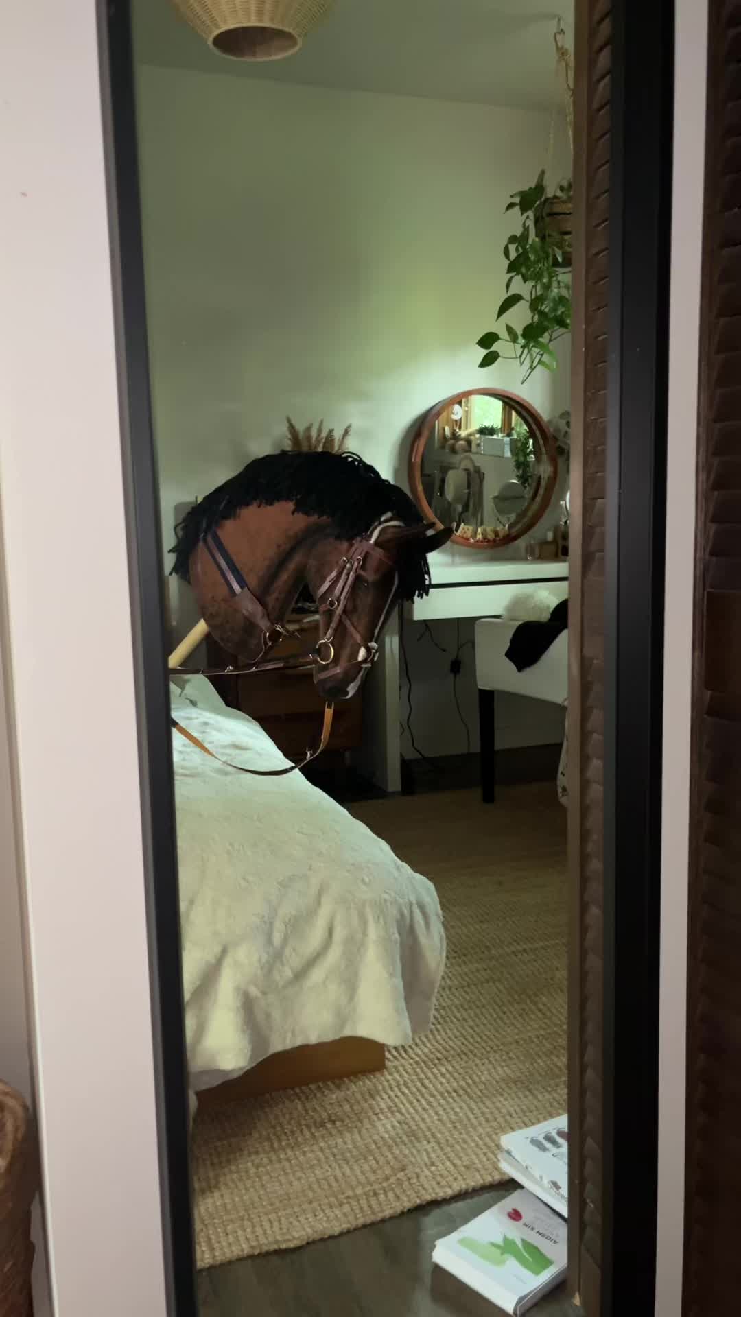 @zhobbyhorse