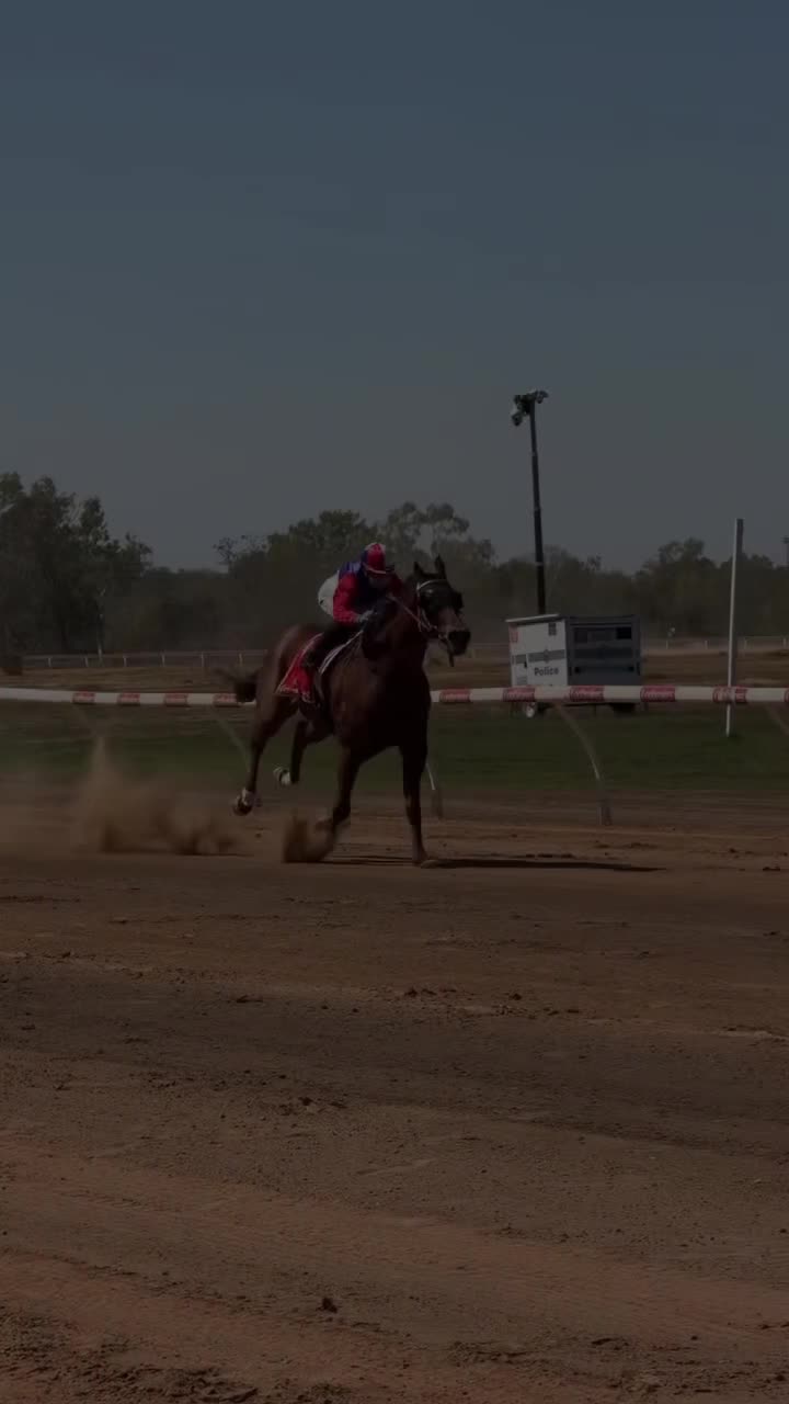@danihorses2