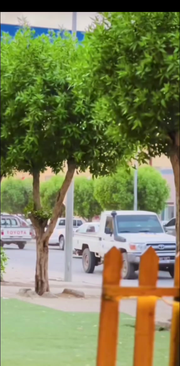 @الشاذلي 🤍
