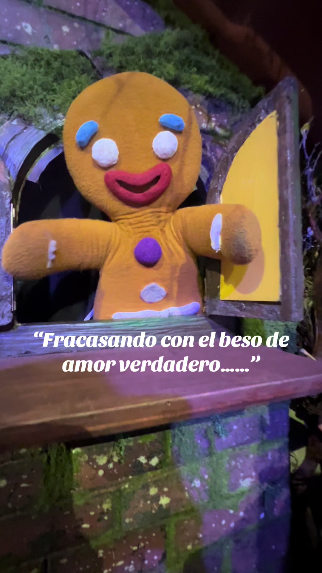 @Ceci Gazu