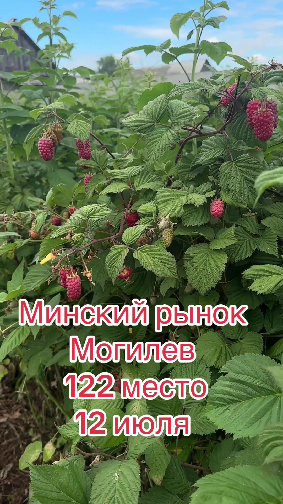 @Данута Манюк