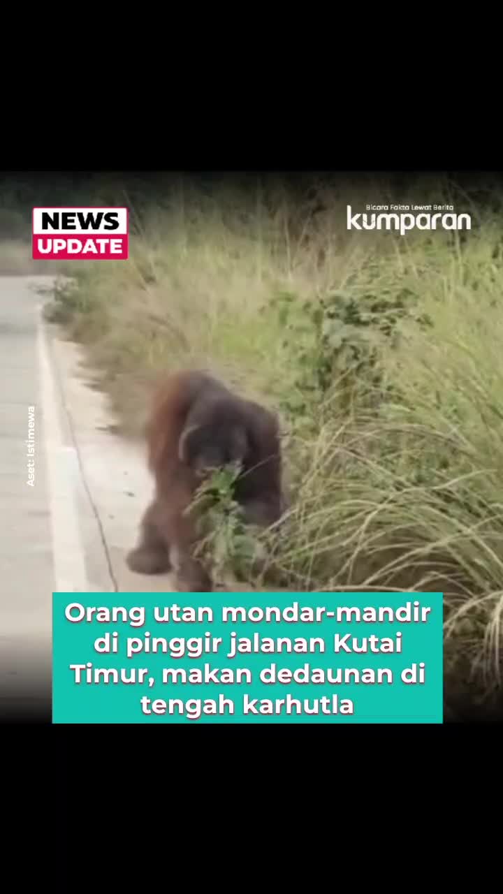 @kumparan