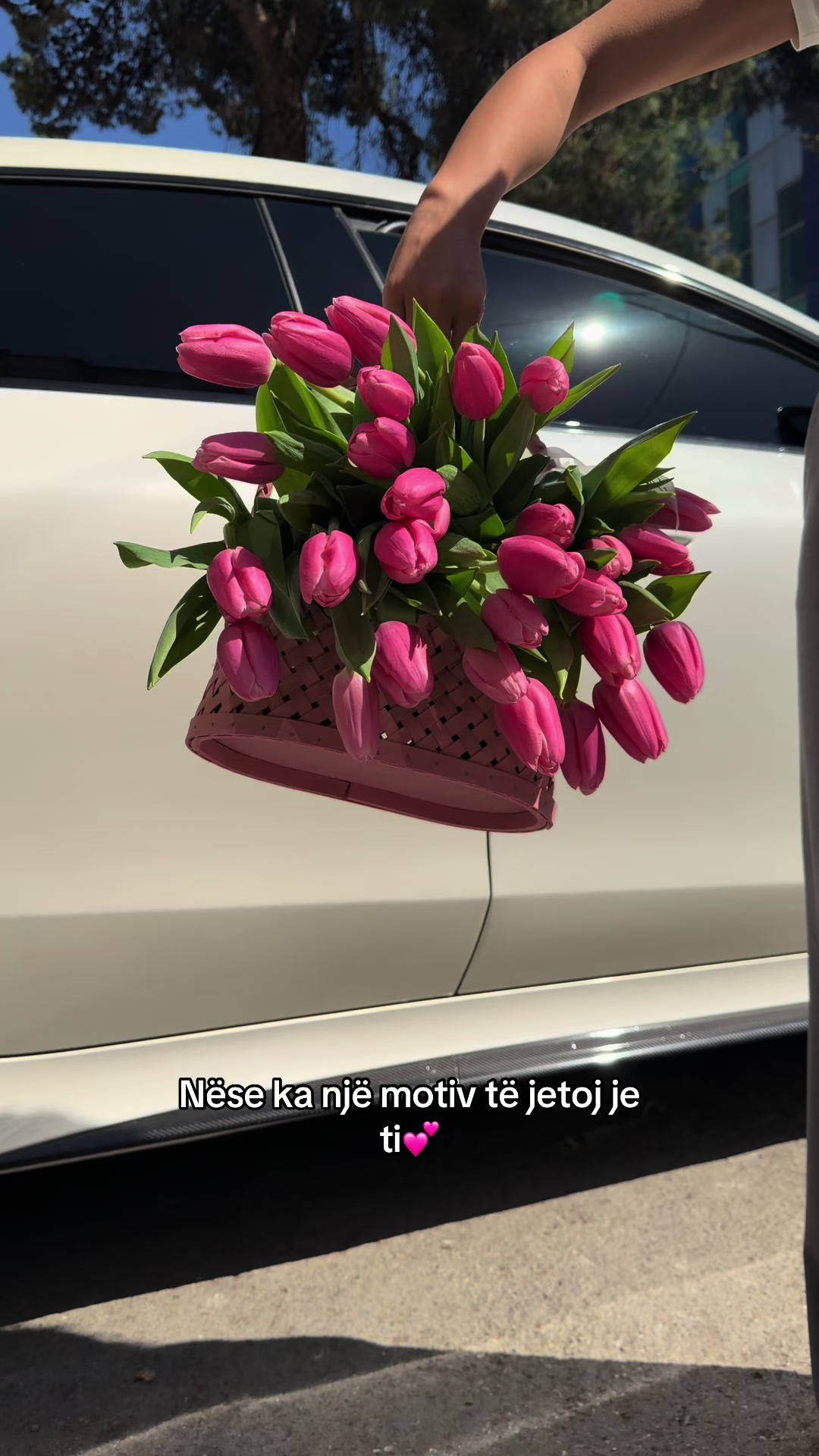 @salar_lule