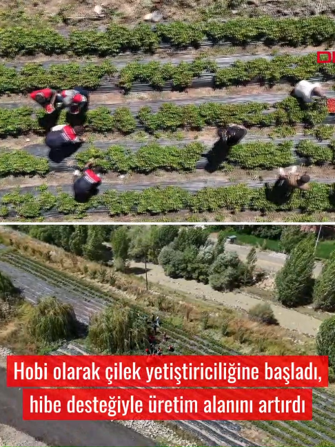 @Demirören Haber Ajansı