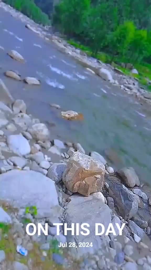 @Sardar ⚔️ Rashid 🥷