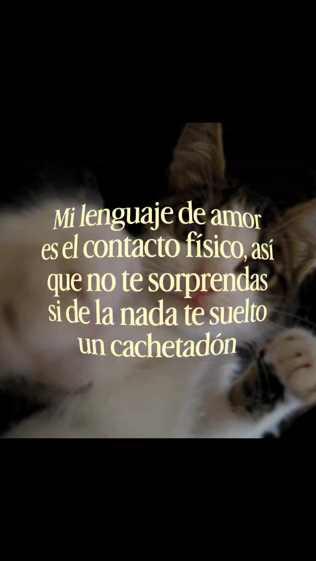 @goodvibessxd