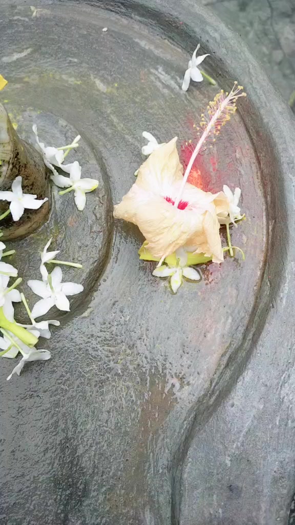 @Mina Shriwasatav