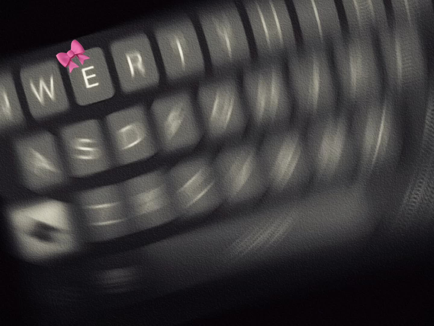 @๐ฉถแ๐
๐๐ซ๐๐ฎ๐ฎแ๐ฉ