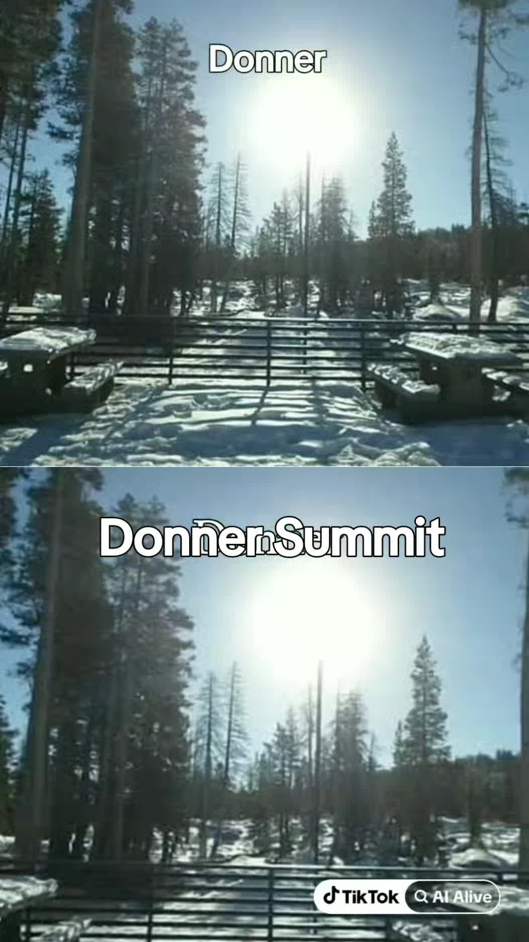 @Donna