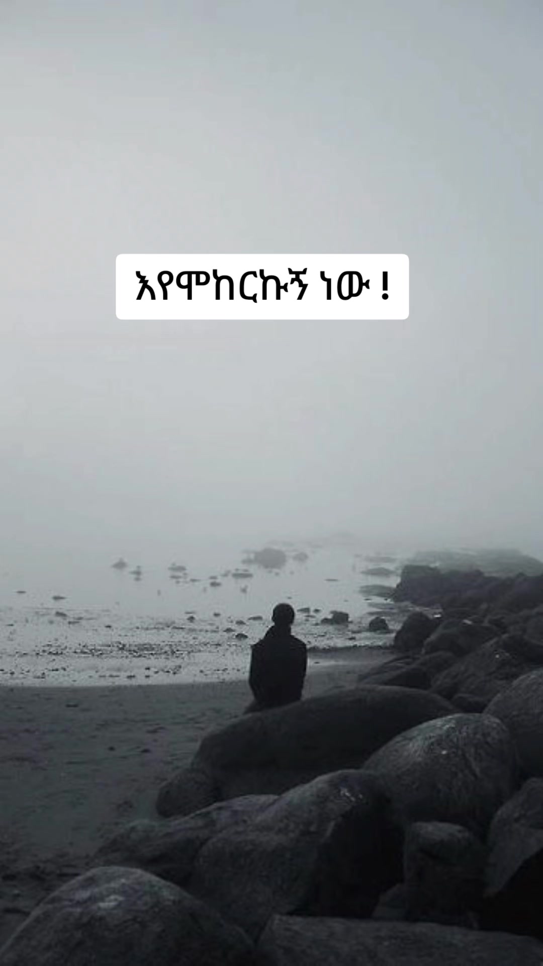 @tesfa