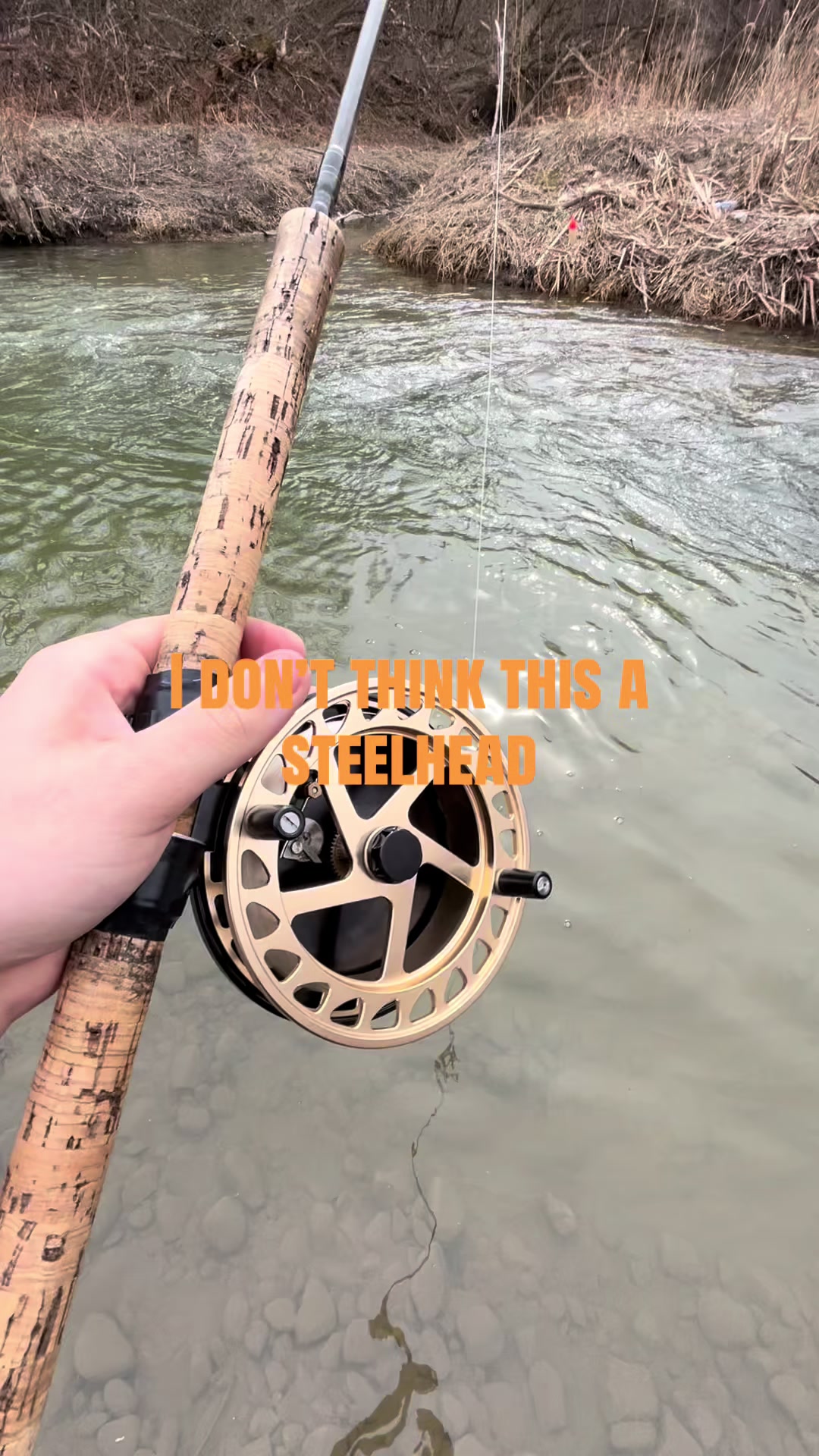 @yzxezz 🎣