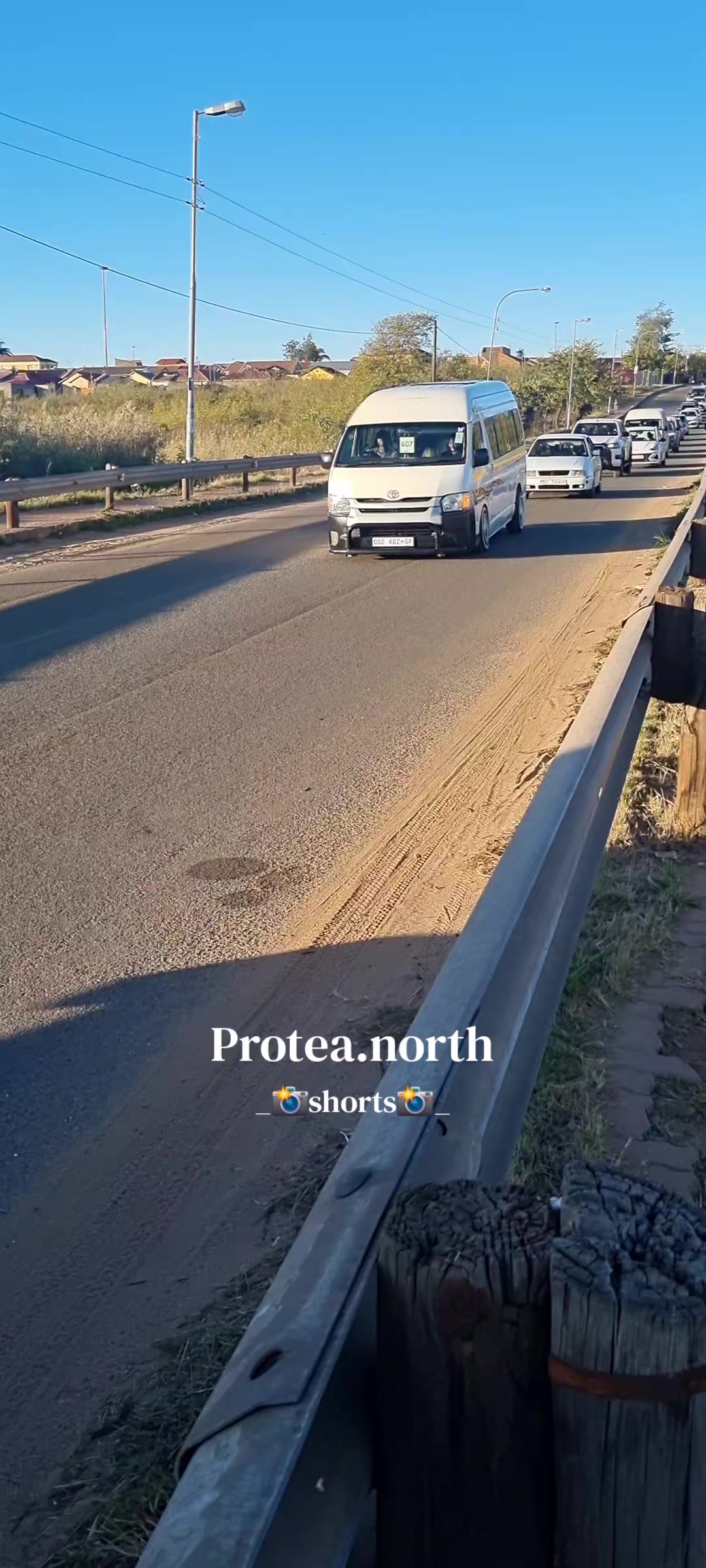 @Protea.north_shorts_