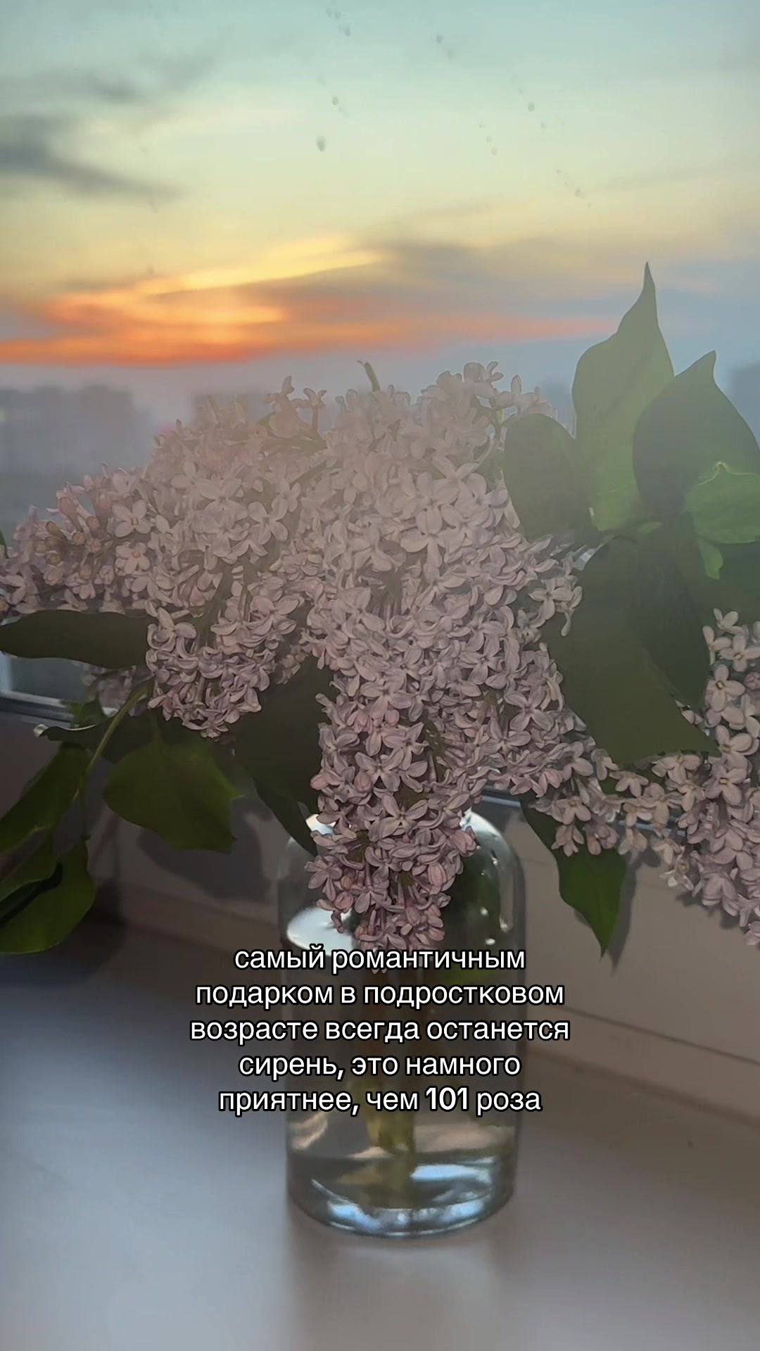 @синеглазка.✈️