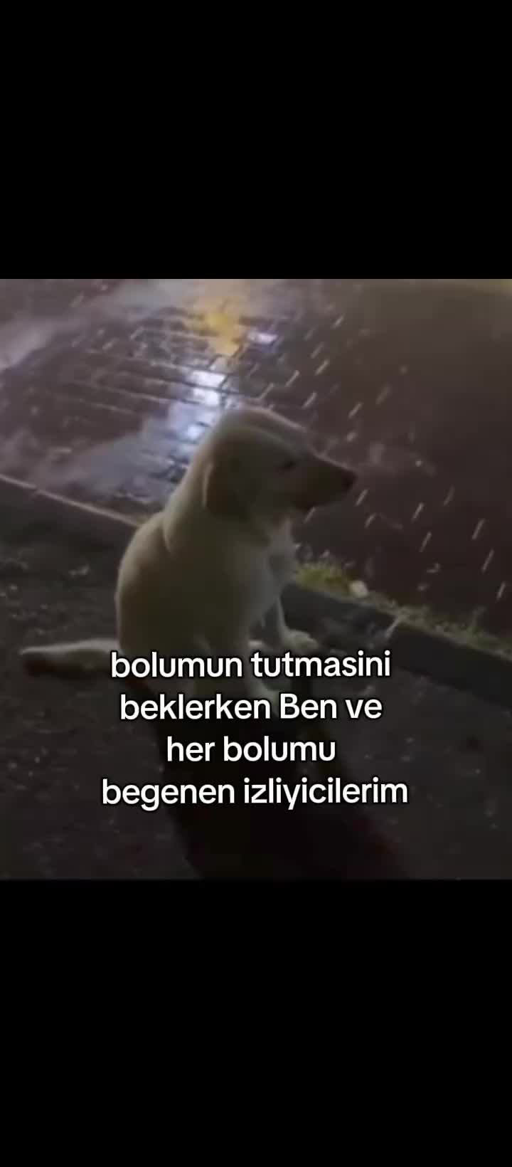 @ada★