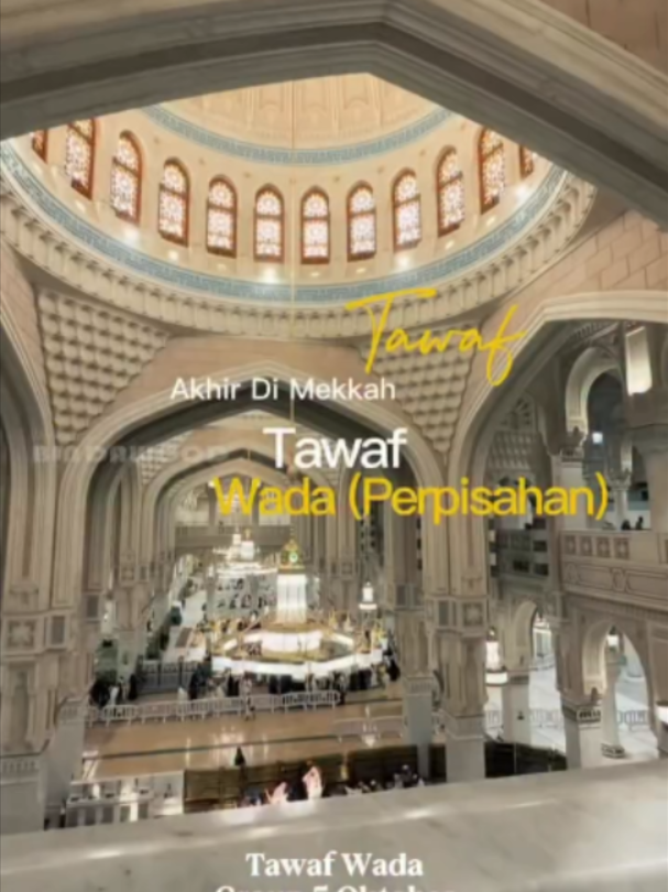 @Bin Dawood Tour And Travel