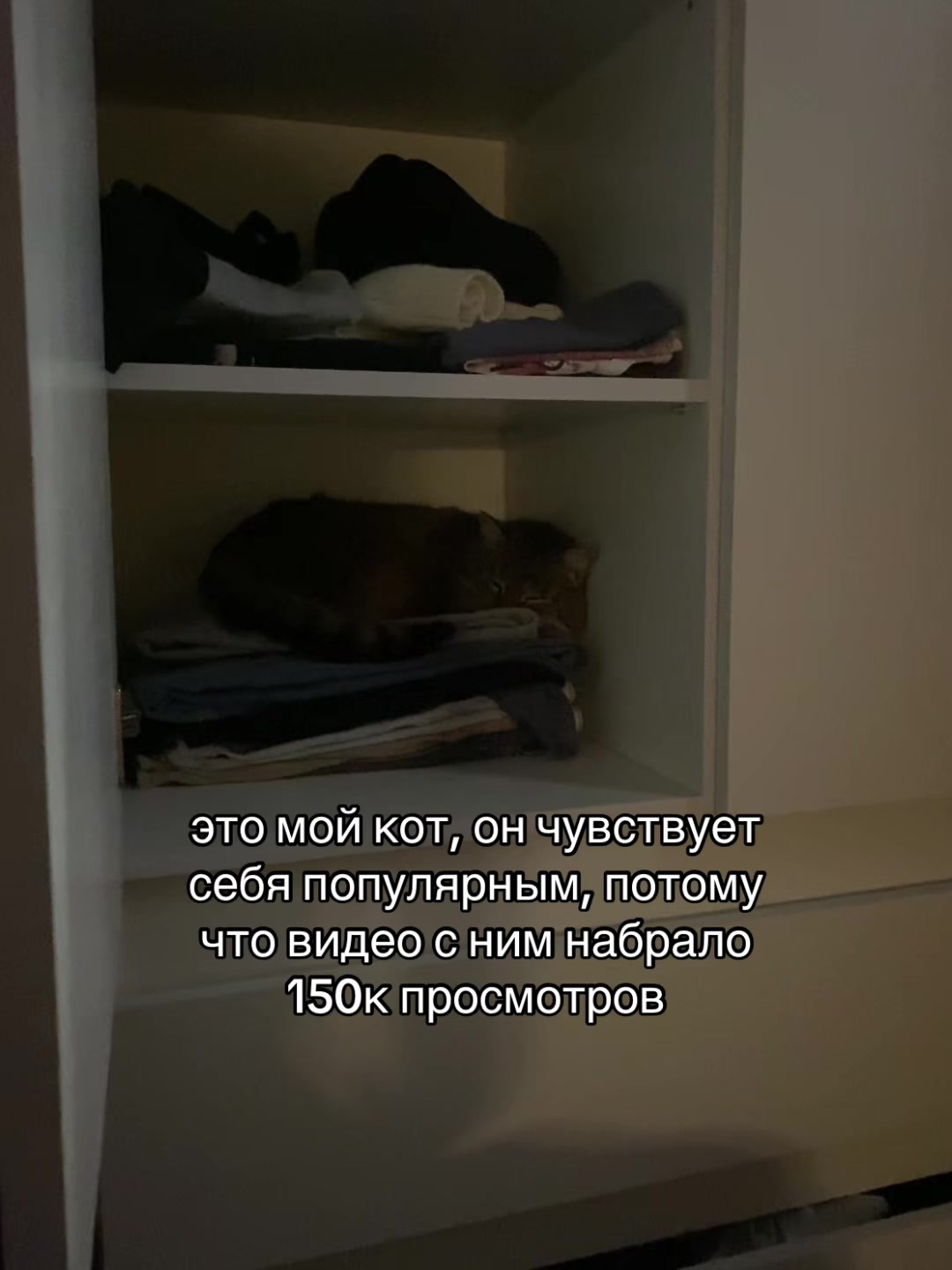 @polyashaw