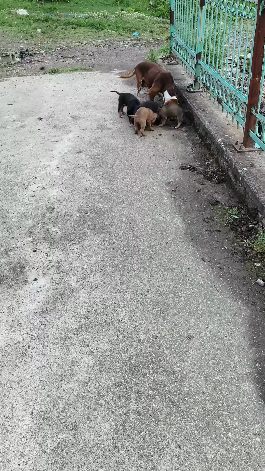 @Ali Gözsüz67