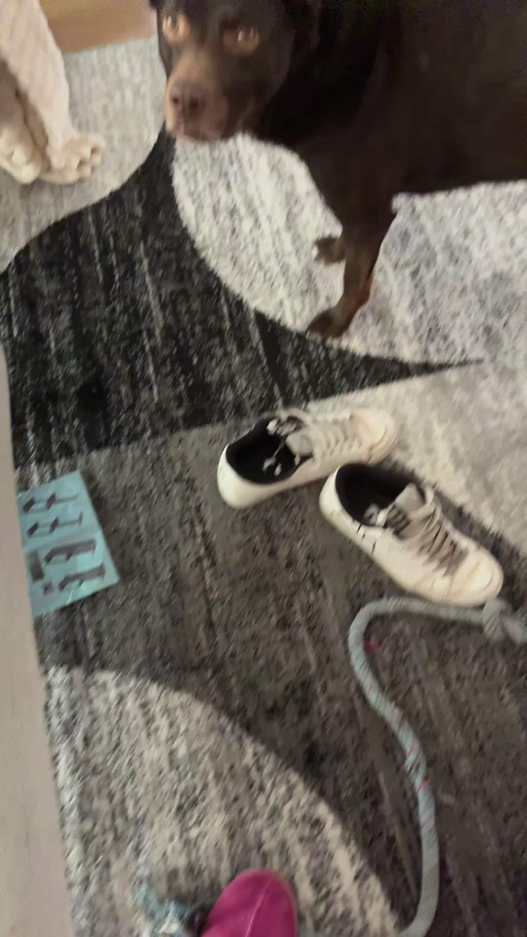 @emmalouisef367