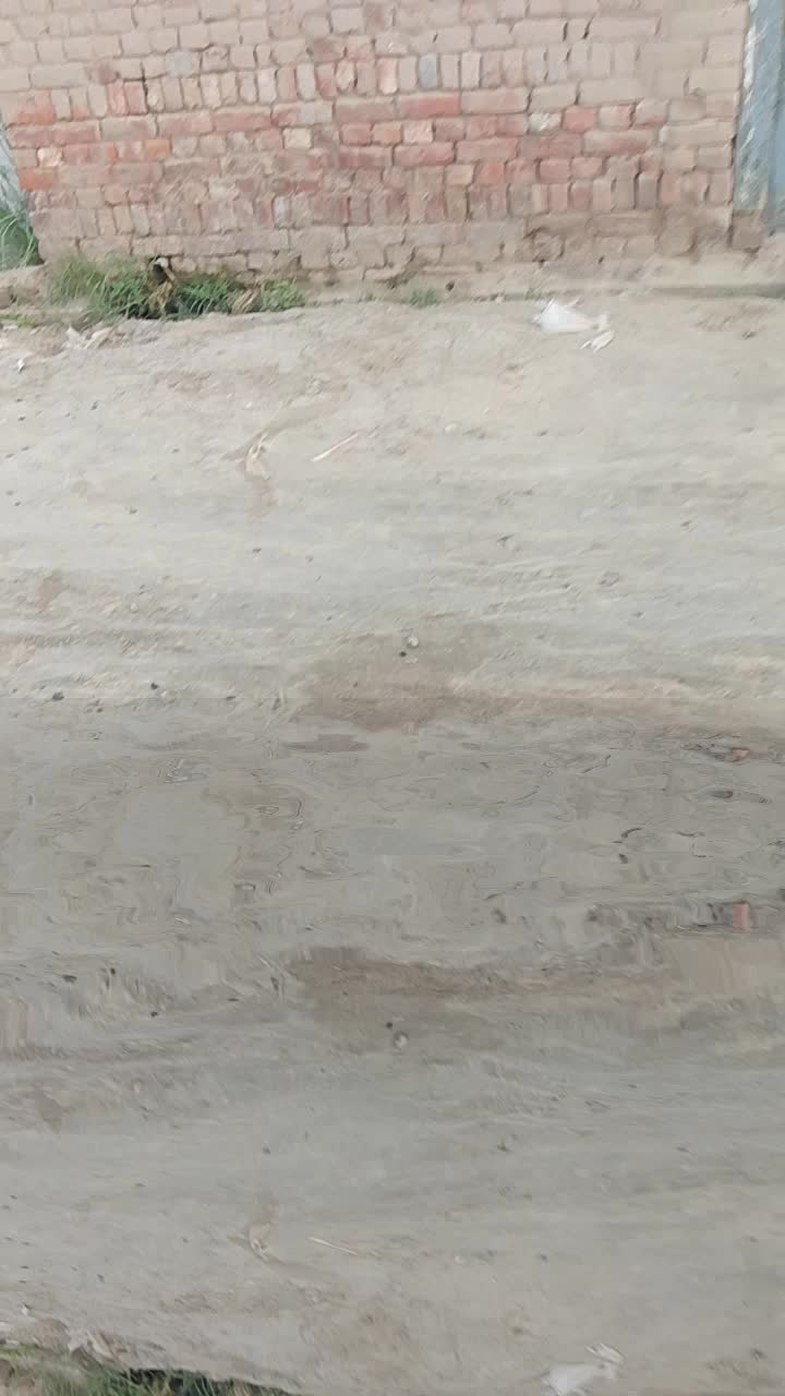 @Saqib