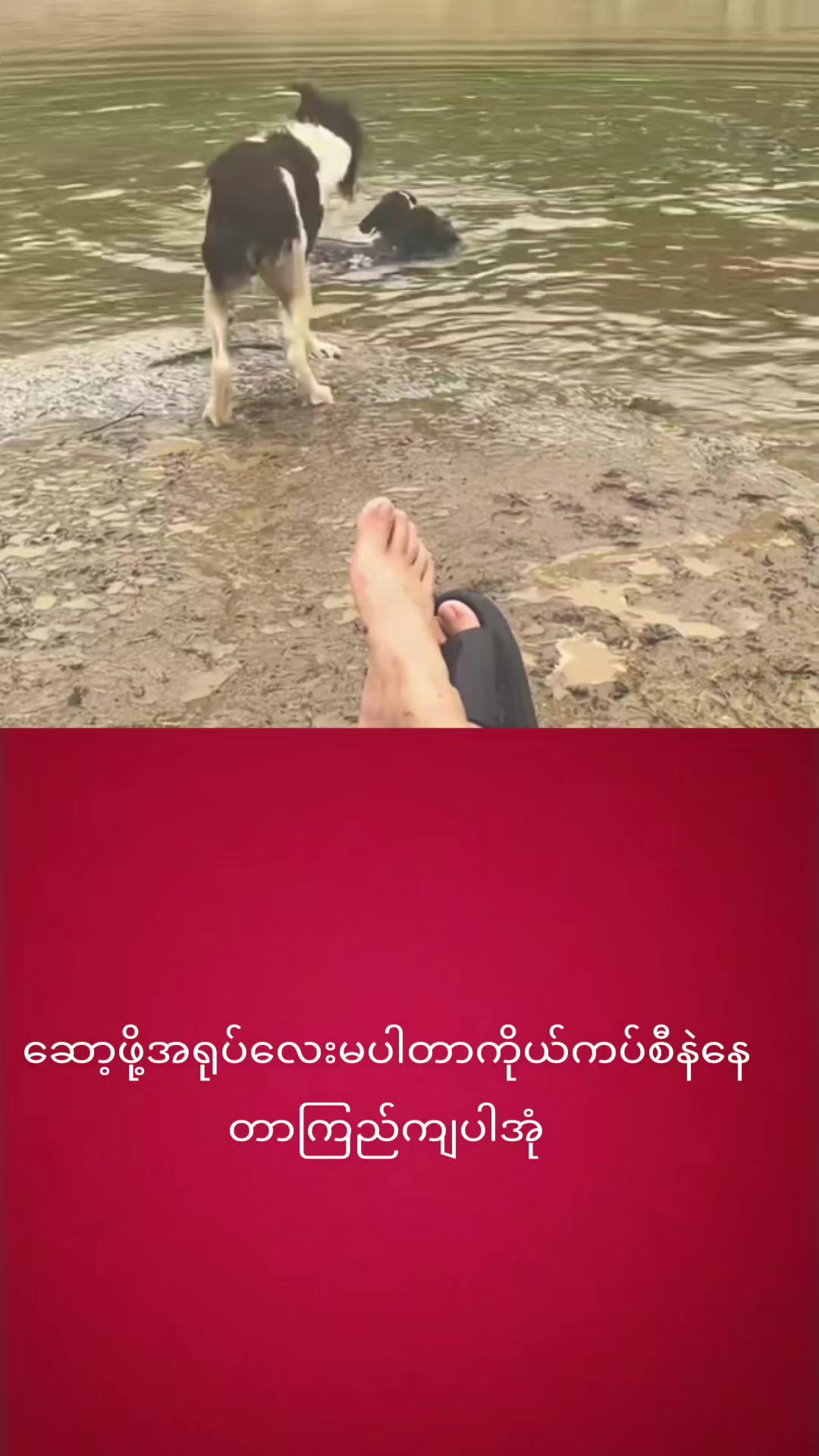 @myohlaingwin