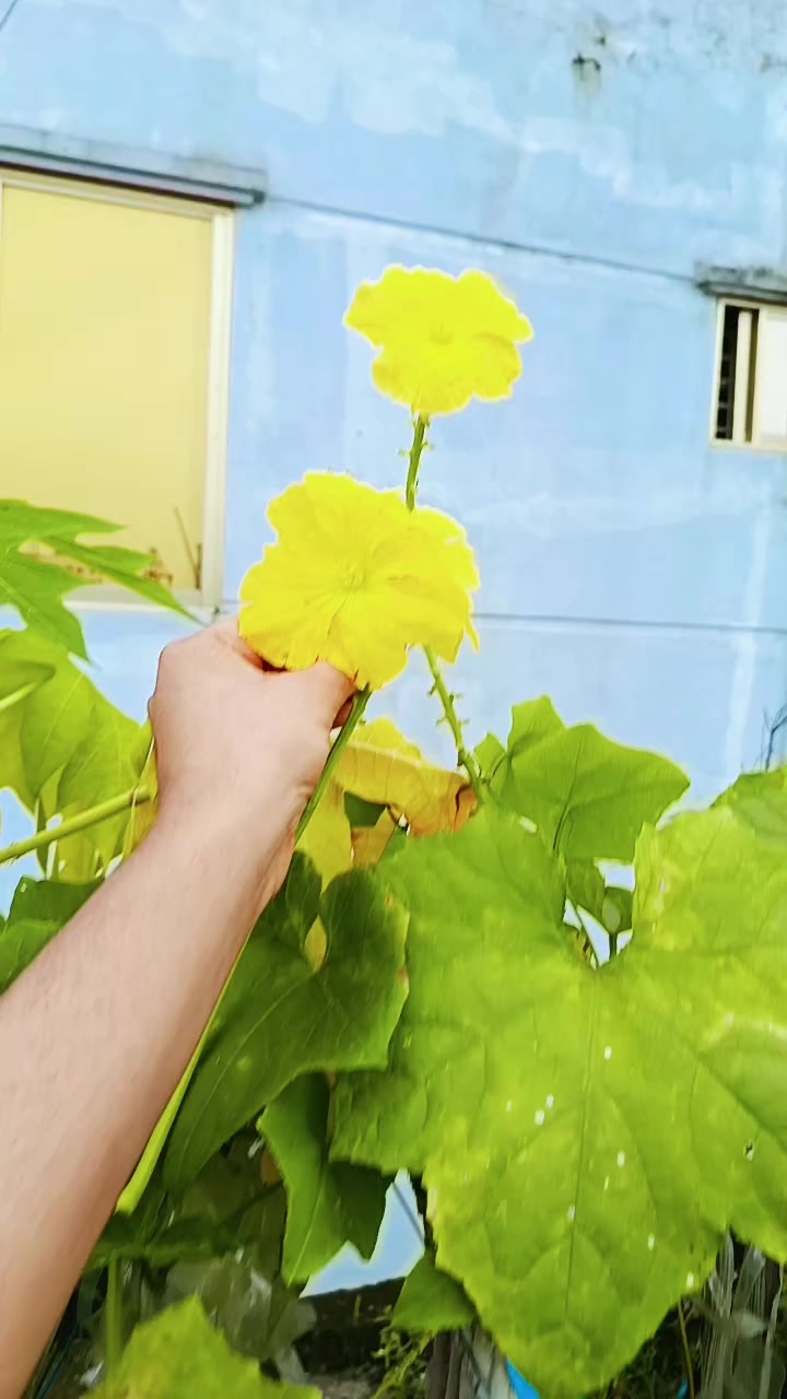 @তাসমিন  নাহা