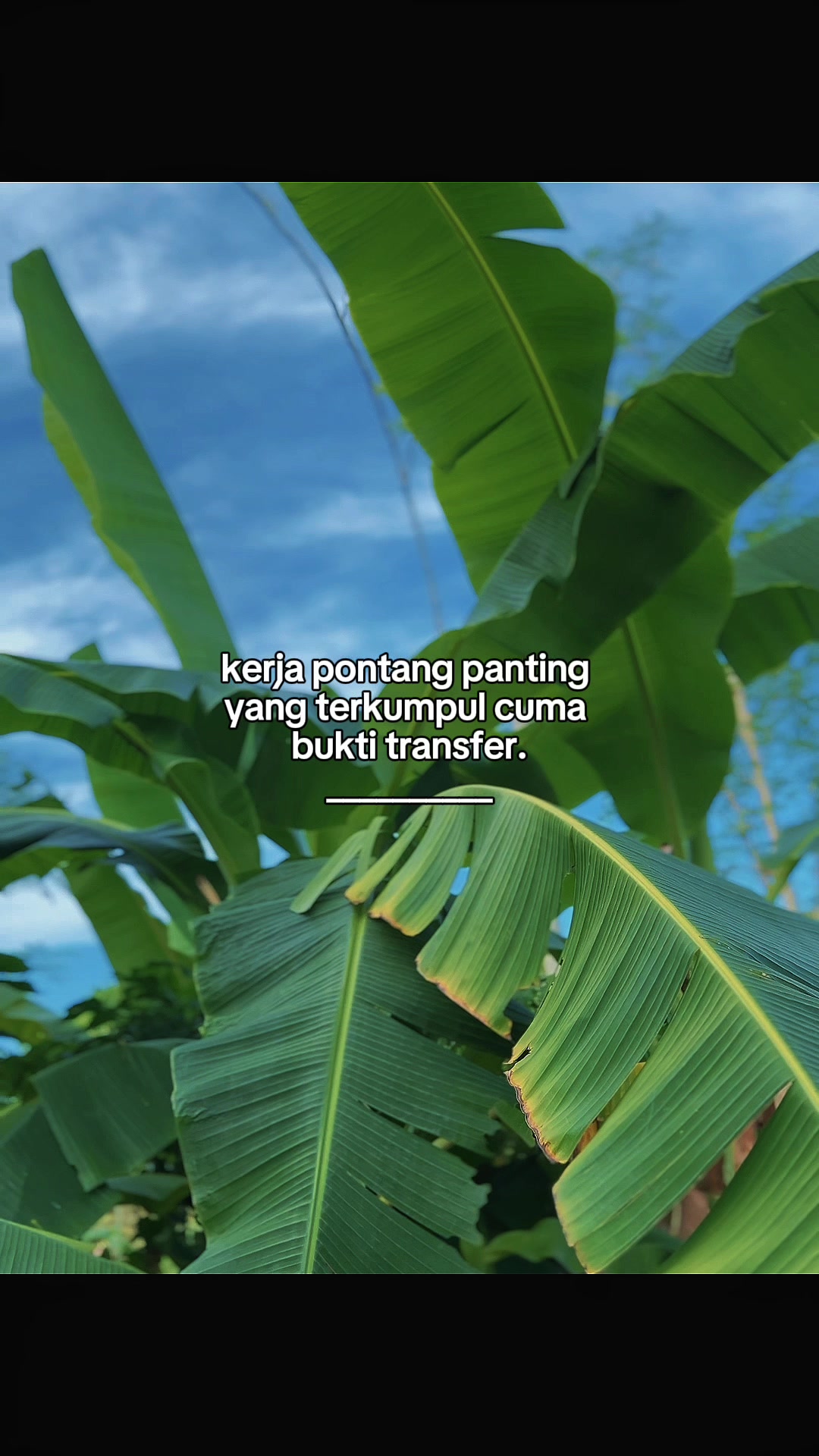 @INTROVERT