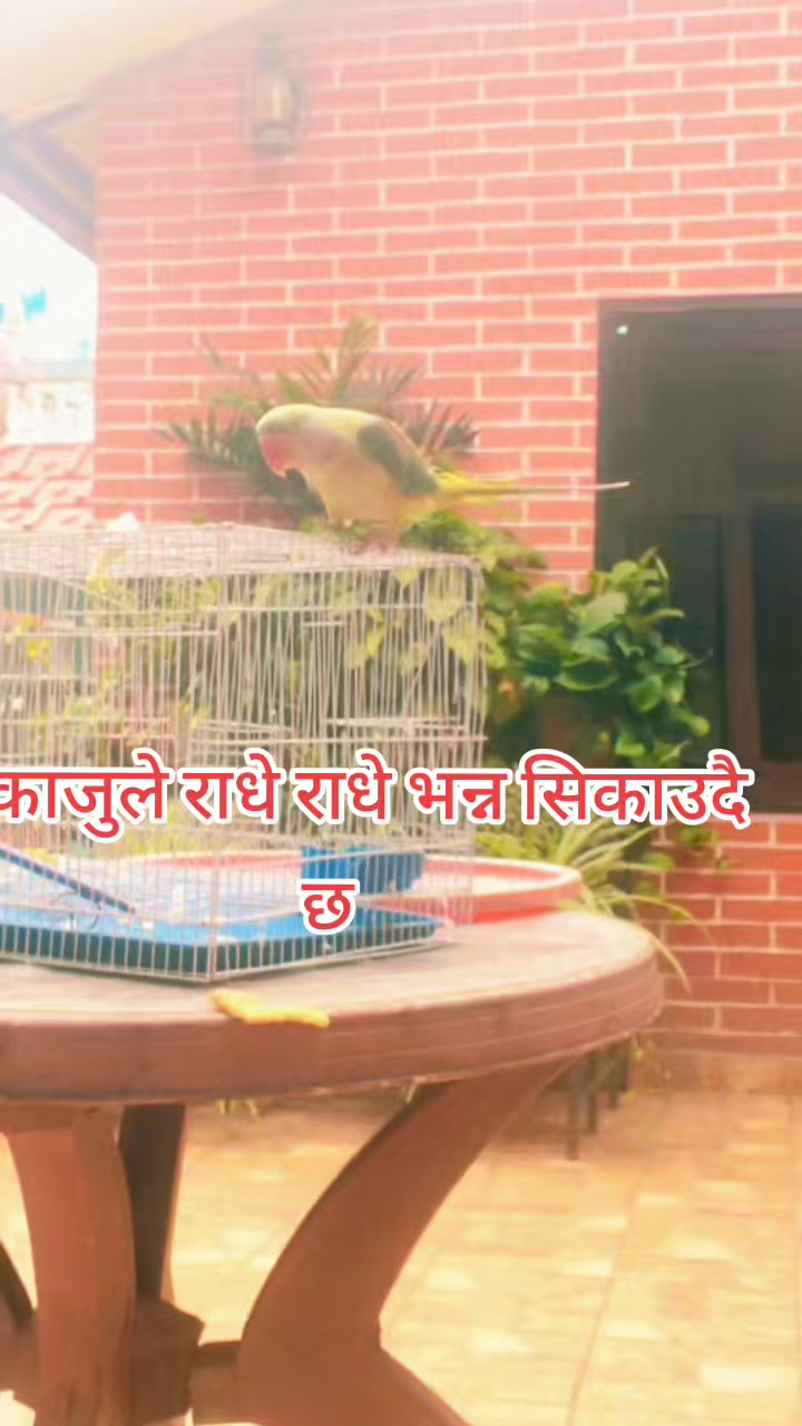 @saru pokharel 123