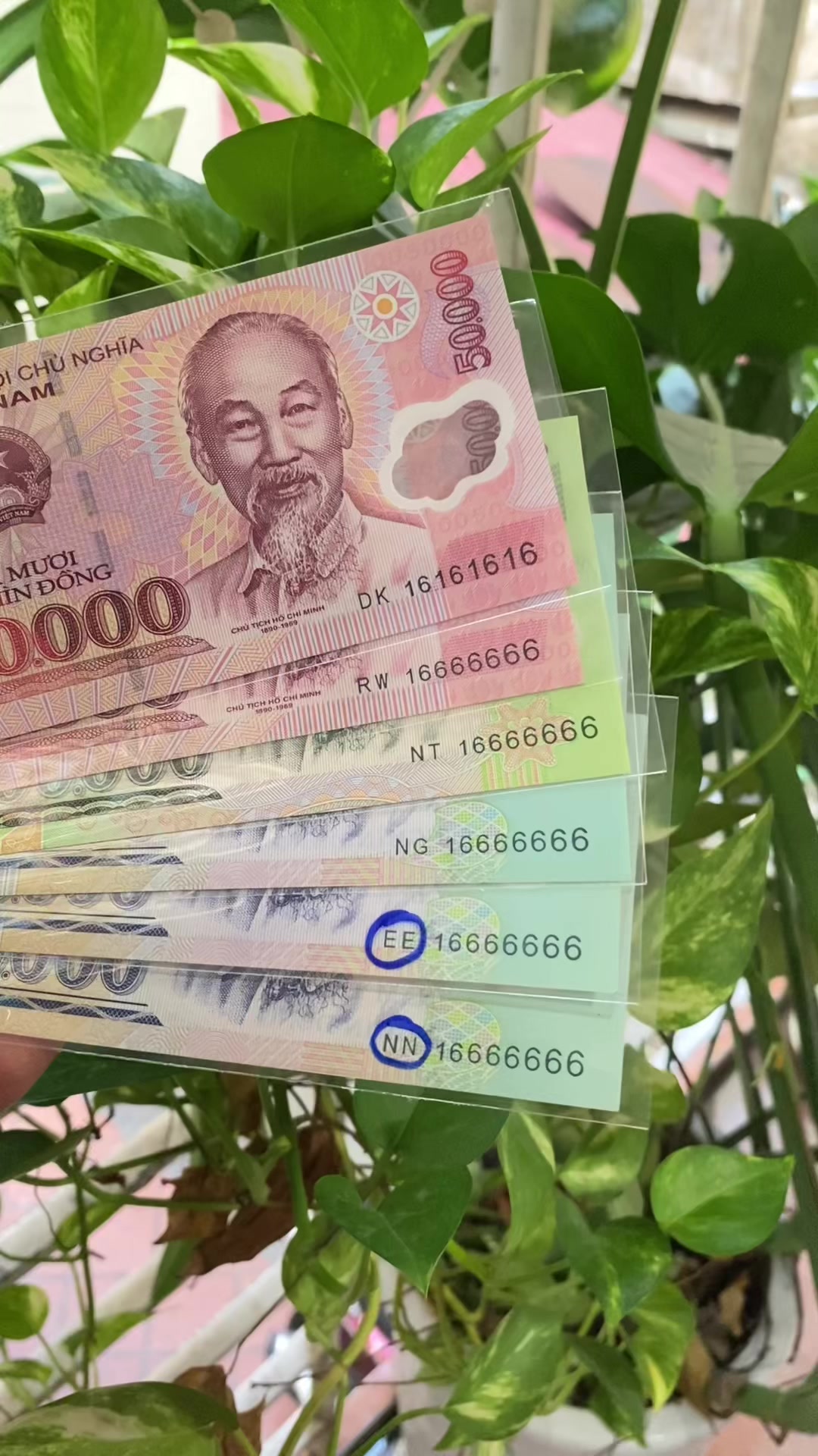 @Shop Tiền Sưu Tập