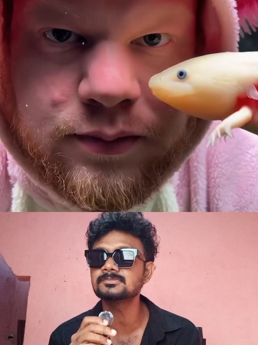 @MrFaj