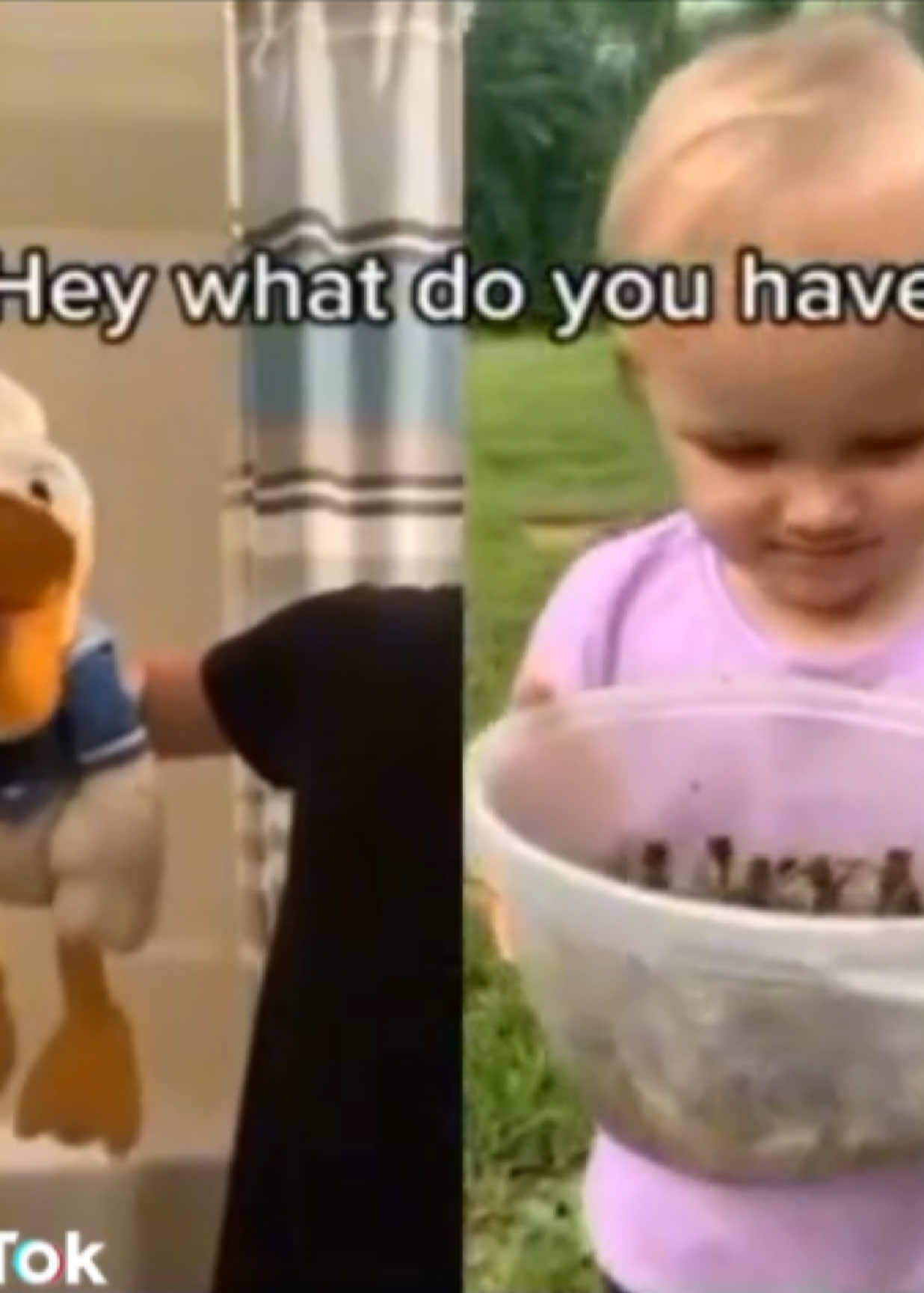@donaldducc
