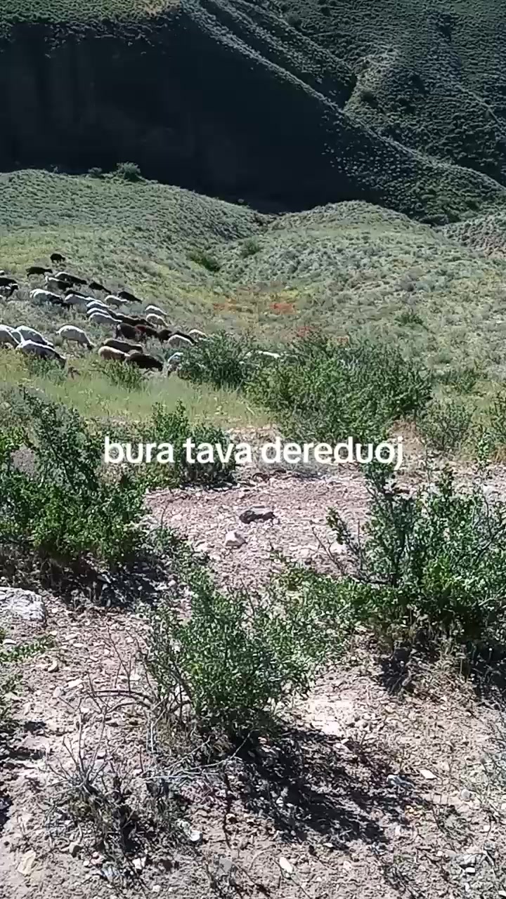 @Zahid cehrili