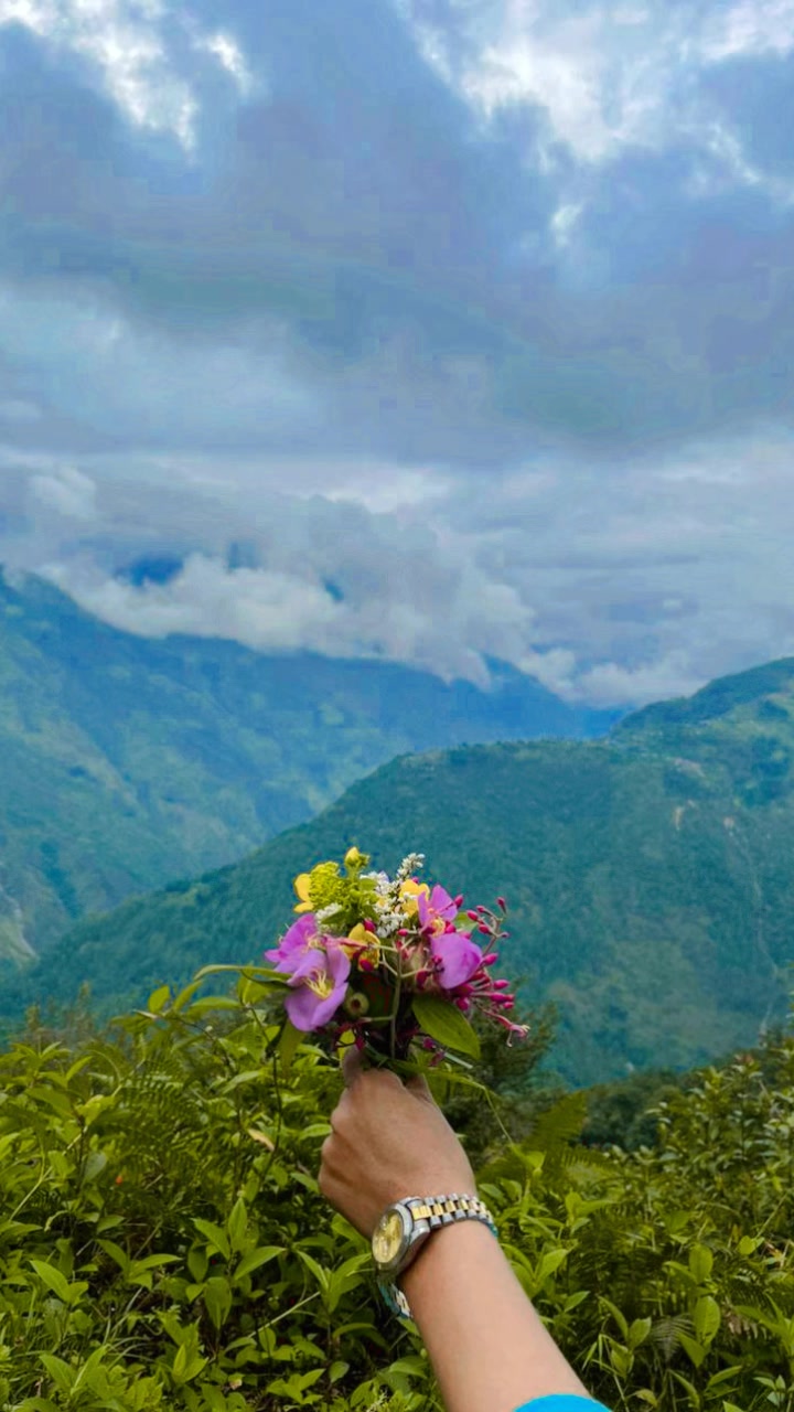 @मिरा♥️ शिबाकोटि