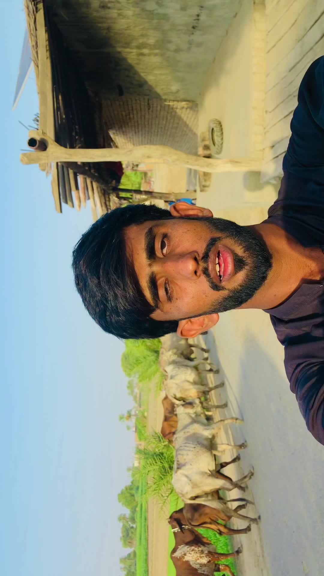 @Liaquatiqbal143😎