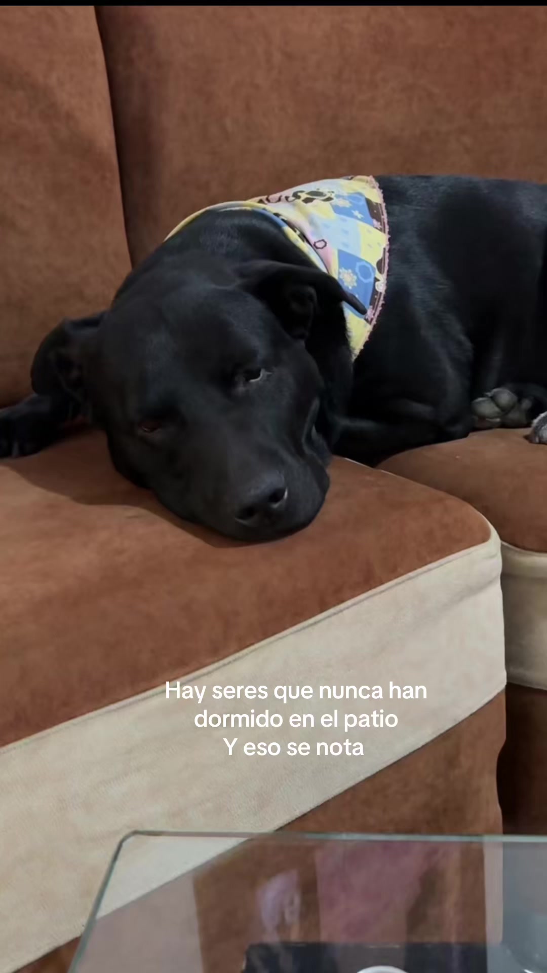 @tattiflorez ✨