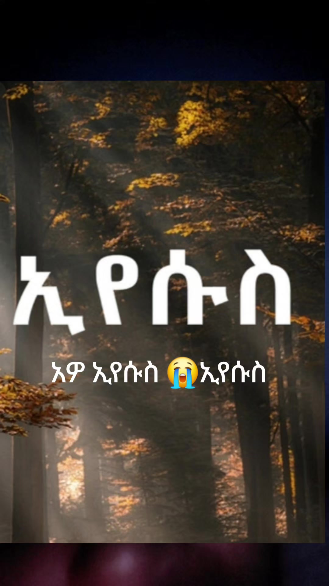 @ቲጂ ታዲዮስ ወጣትነት ለክርስቶስ 💙✝️