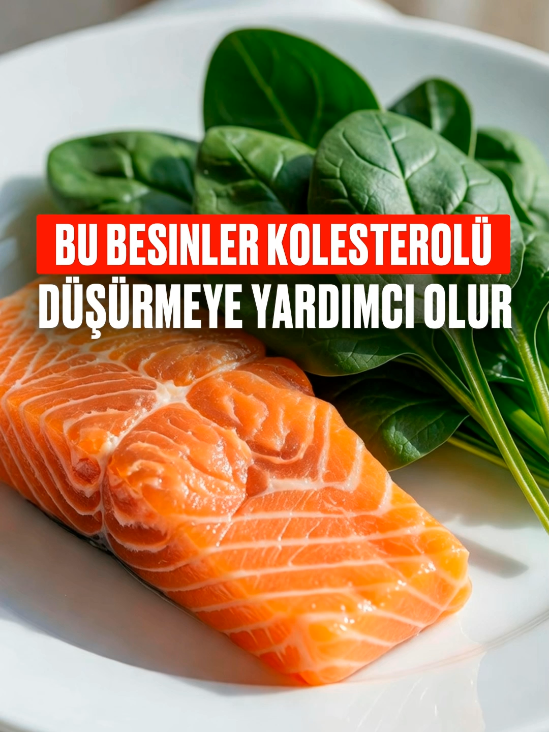 @Bolotov_Merkezi