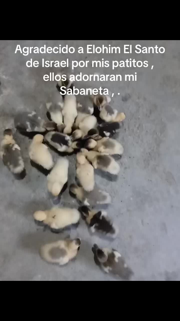 @user7944265819094