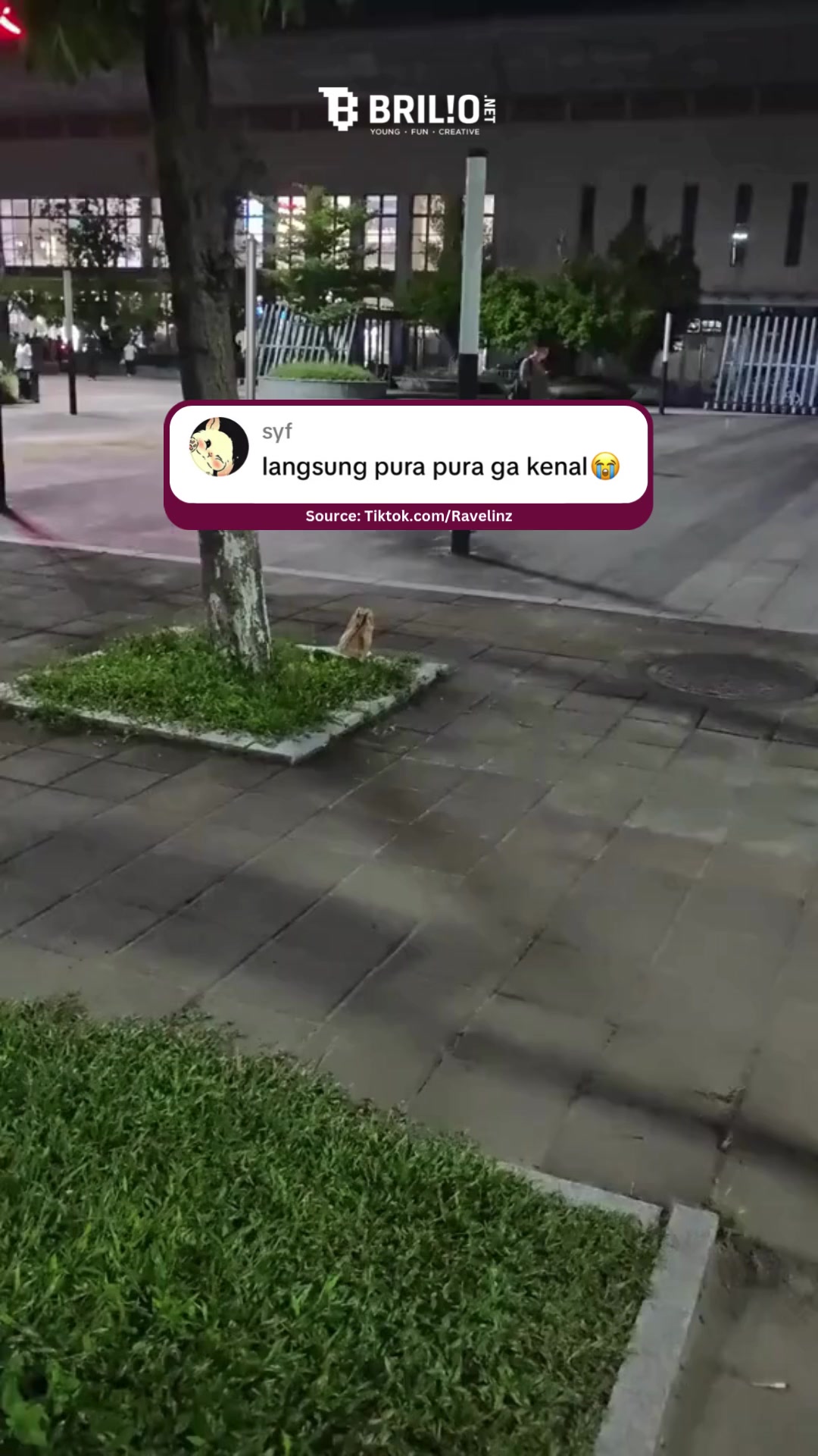 @Brilionet