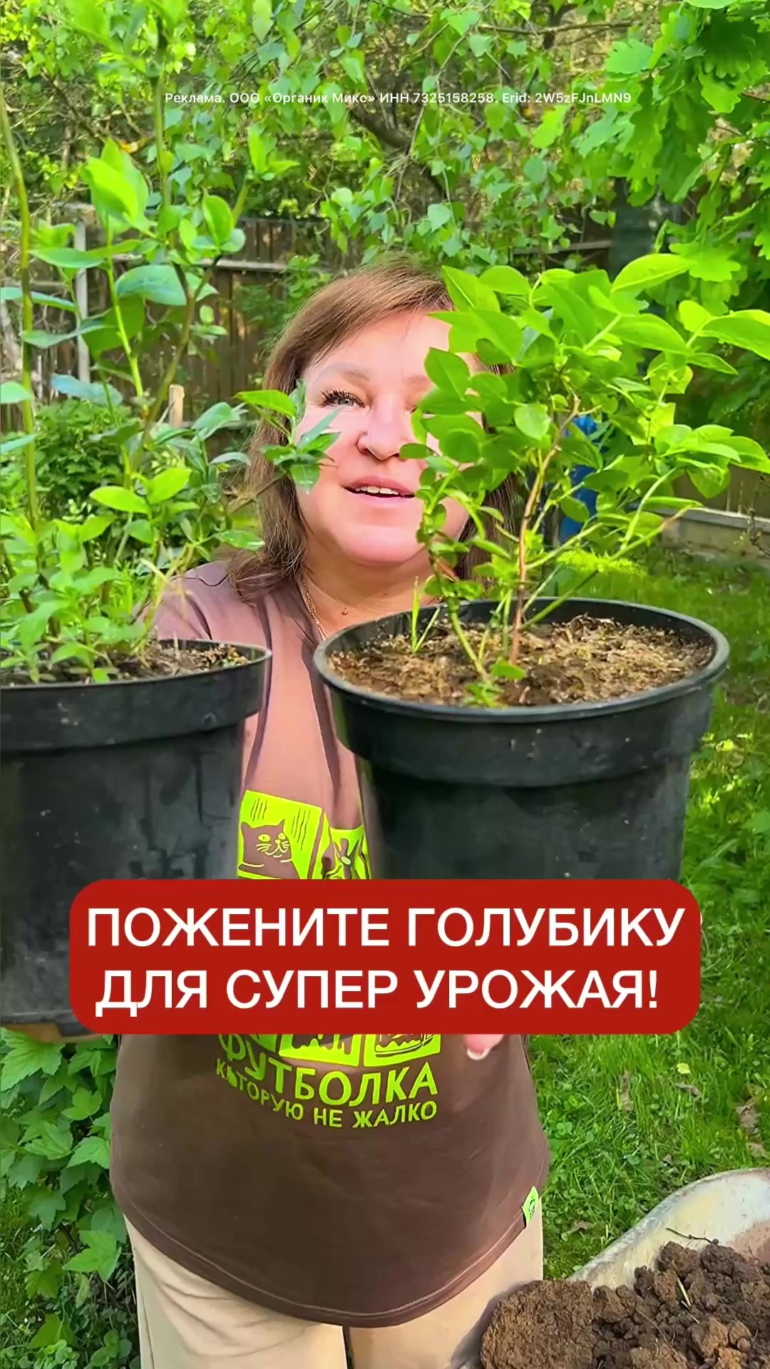 @dom_rustaevy