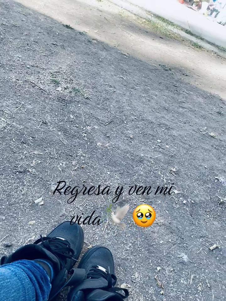 @Alexa Gòmez 🎀
