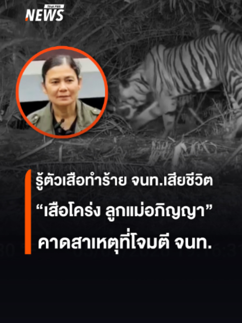 @Thai PBS news