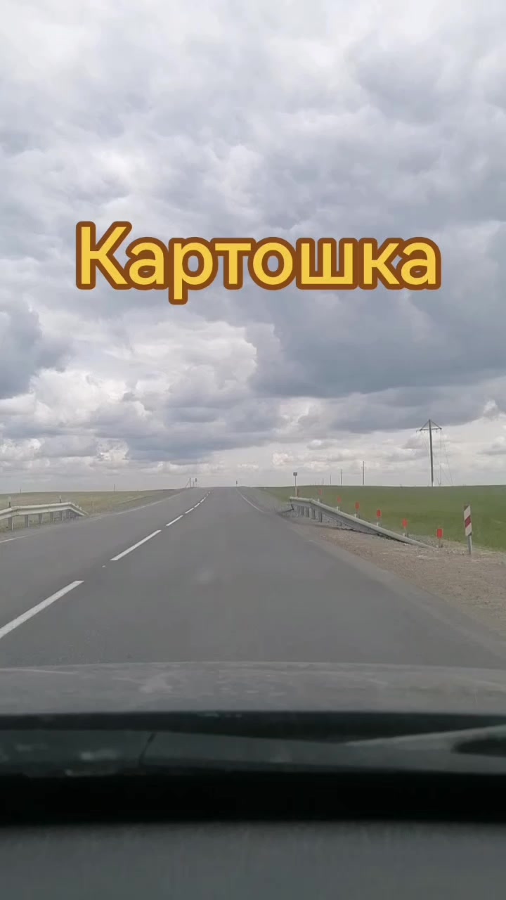 @seregabos