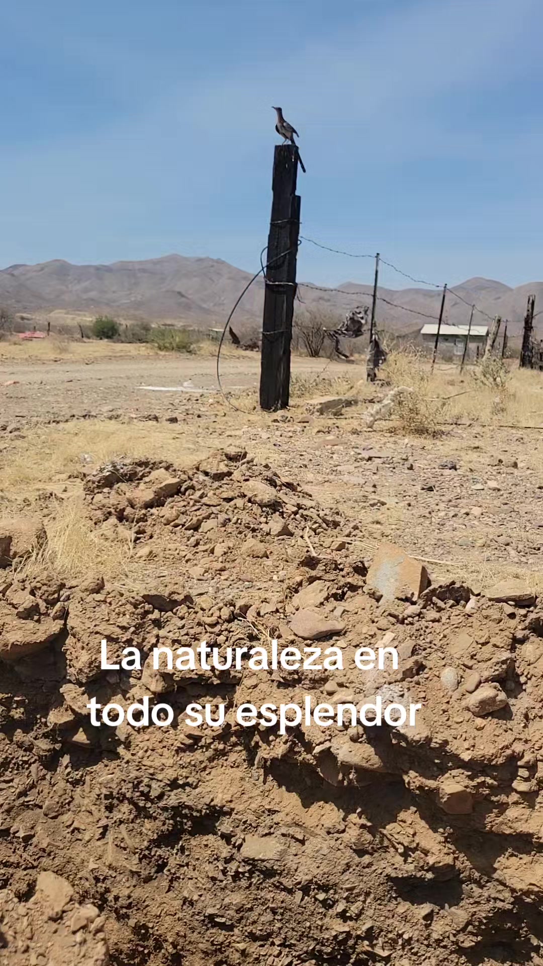 @Oscar Guevara