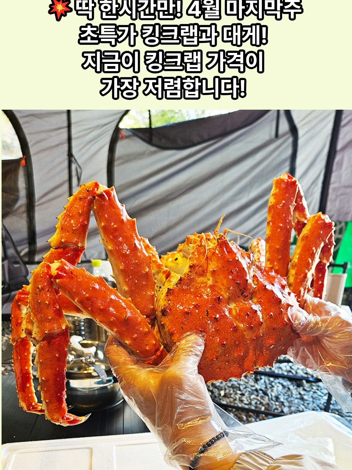@킹크랩 대게 동해수산유통