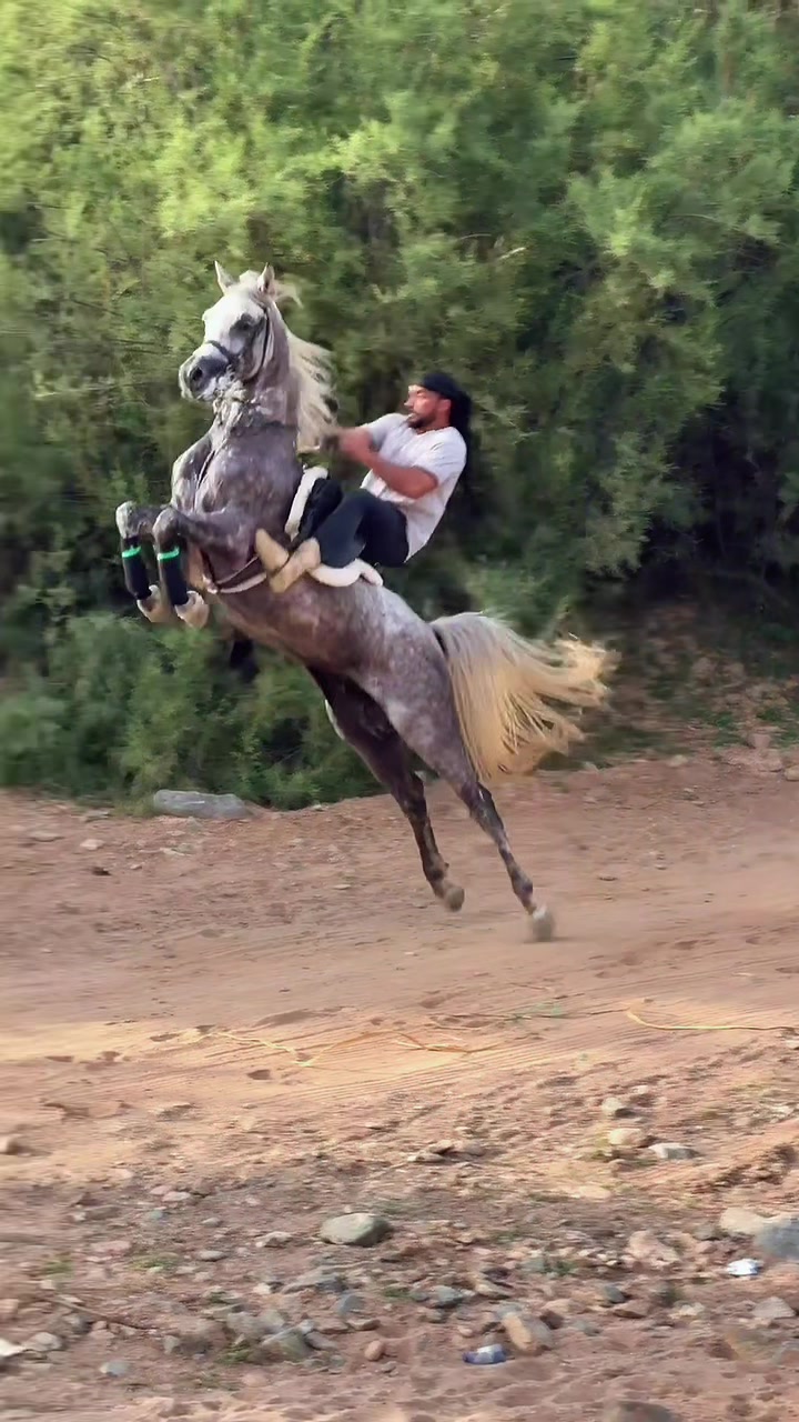 @بـاسـل الـوادعـي⭐️🐎