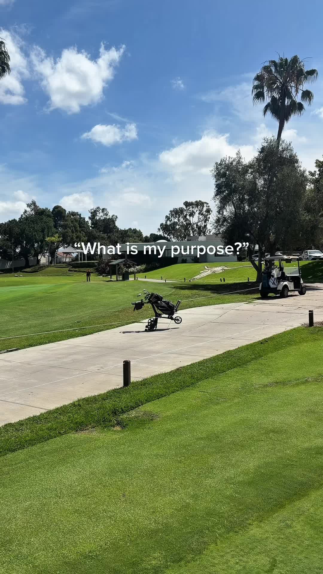 @Ari