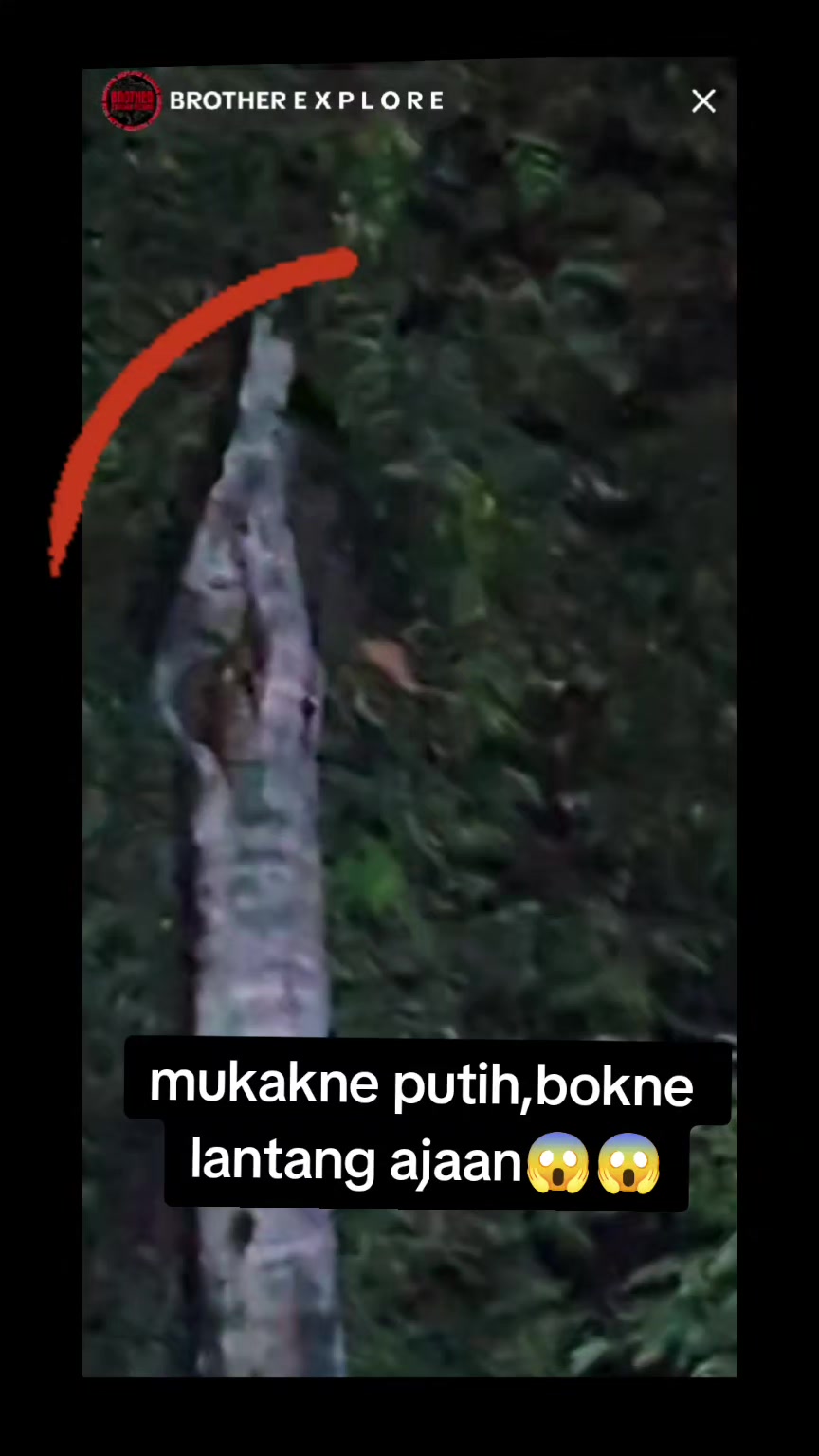 @PutuGede