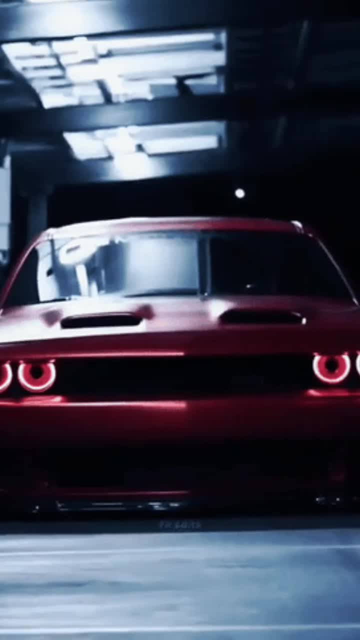 @Riley.benedict 6741