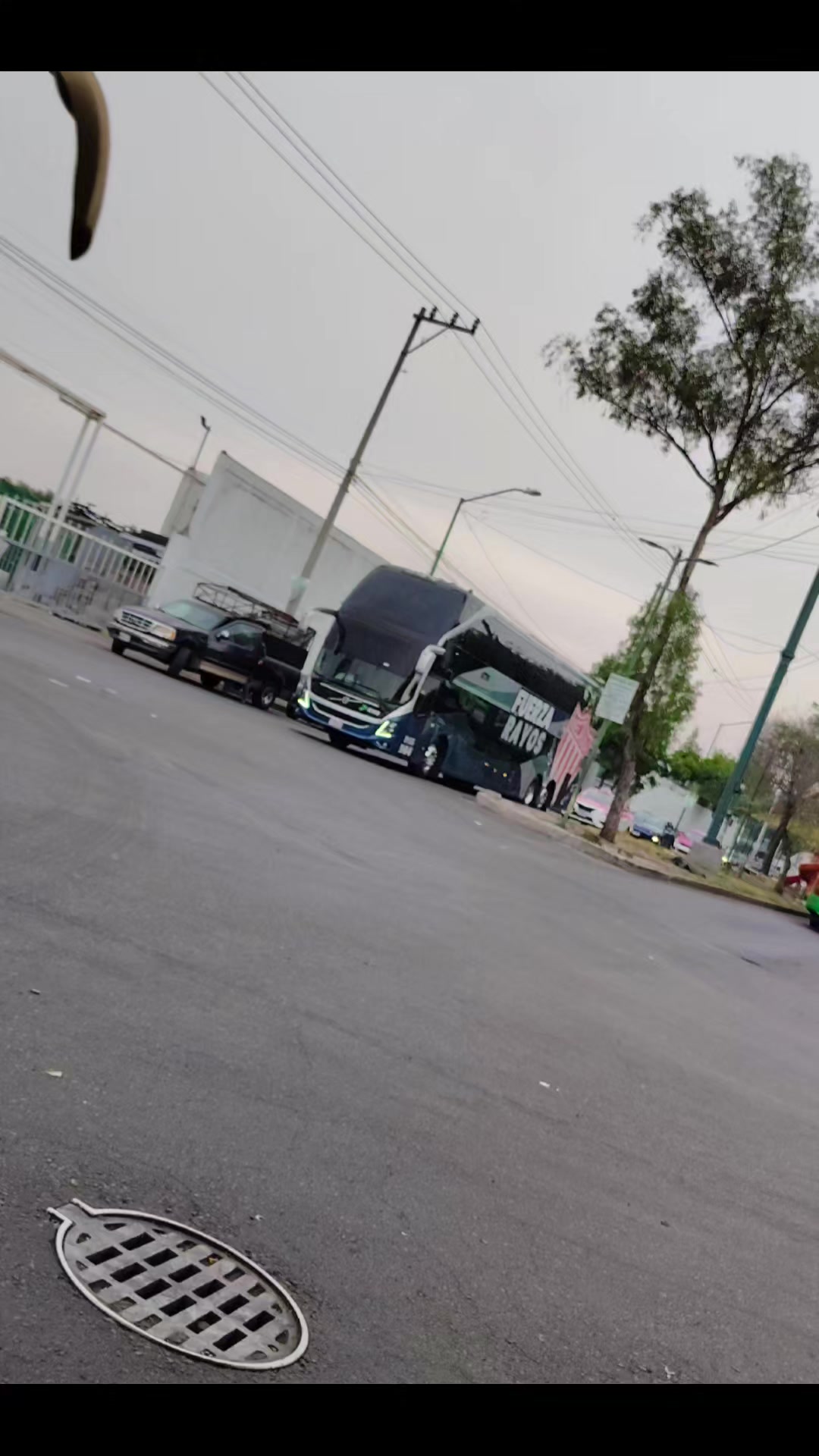@🍁 " Busologuia_Mexico_NT "🍁