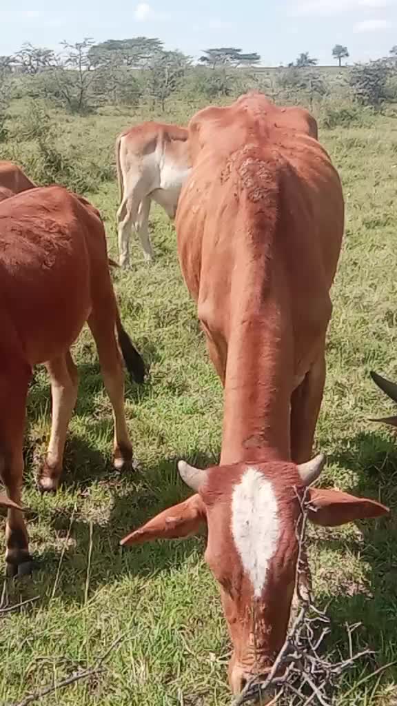 @MOI CAICEDO